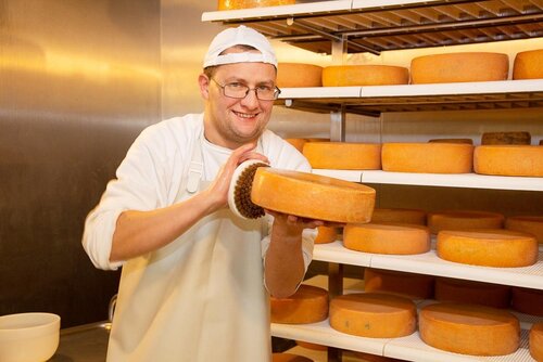 Beim Einreiben der Käselaibe Ein Mann mit Schürze hält einen Käselaib und reibt ihn mit Salz ein