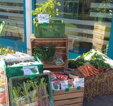 Es grünt, so grün, wenn Kemnitz-Blüten blühen